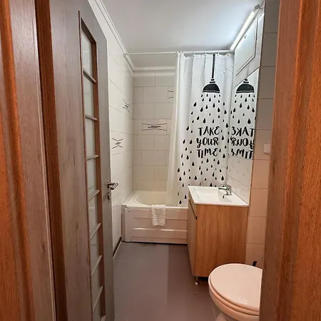 Cozy Center 3 * Craiova